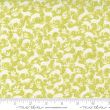 Pumpkins and Blossoms by Fig Tree for Moda