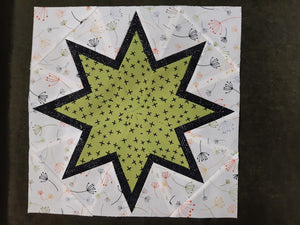 Wedge Star Sew Along-Block 5- Floating Banded Star