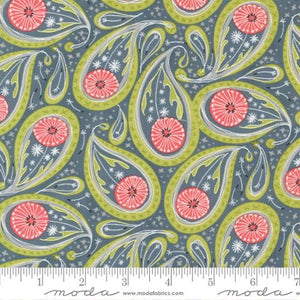 Dandi Duo by Robin Pickens for Moda-Graphite 53