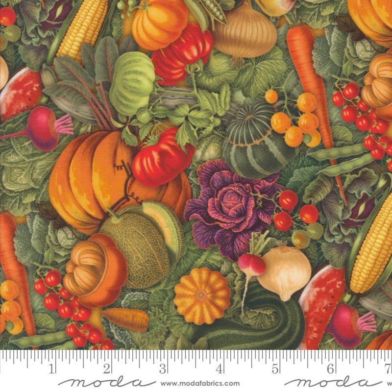 Farm and Garden by Cathe Holden for Moda-Veggies – Threads That Bind ...