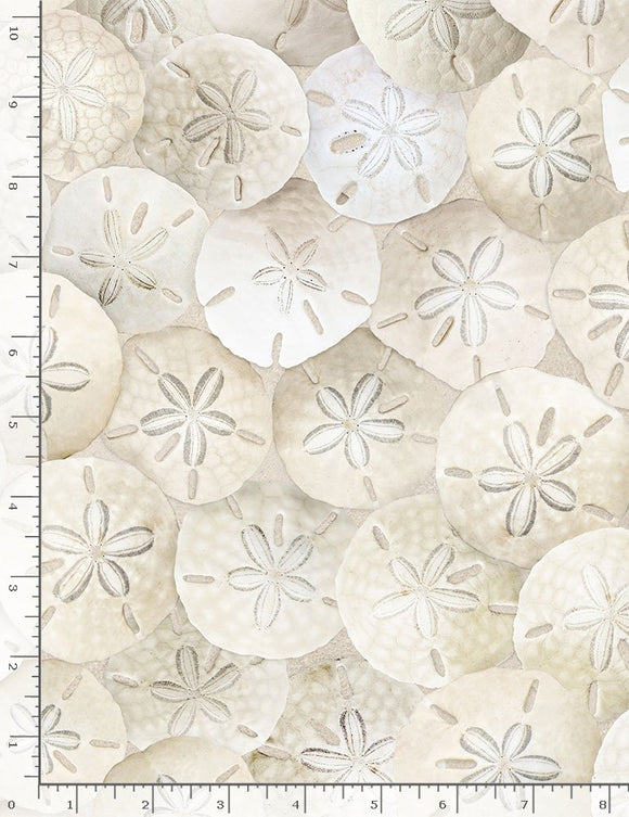 Waters Edge by Timeless Treasures-Packed Sand