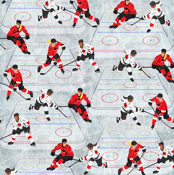 Canada's Game-Hockey Down the Ice- by Quilters Choice